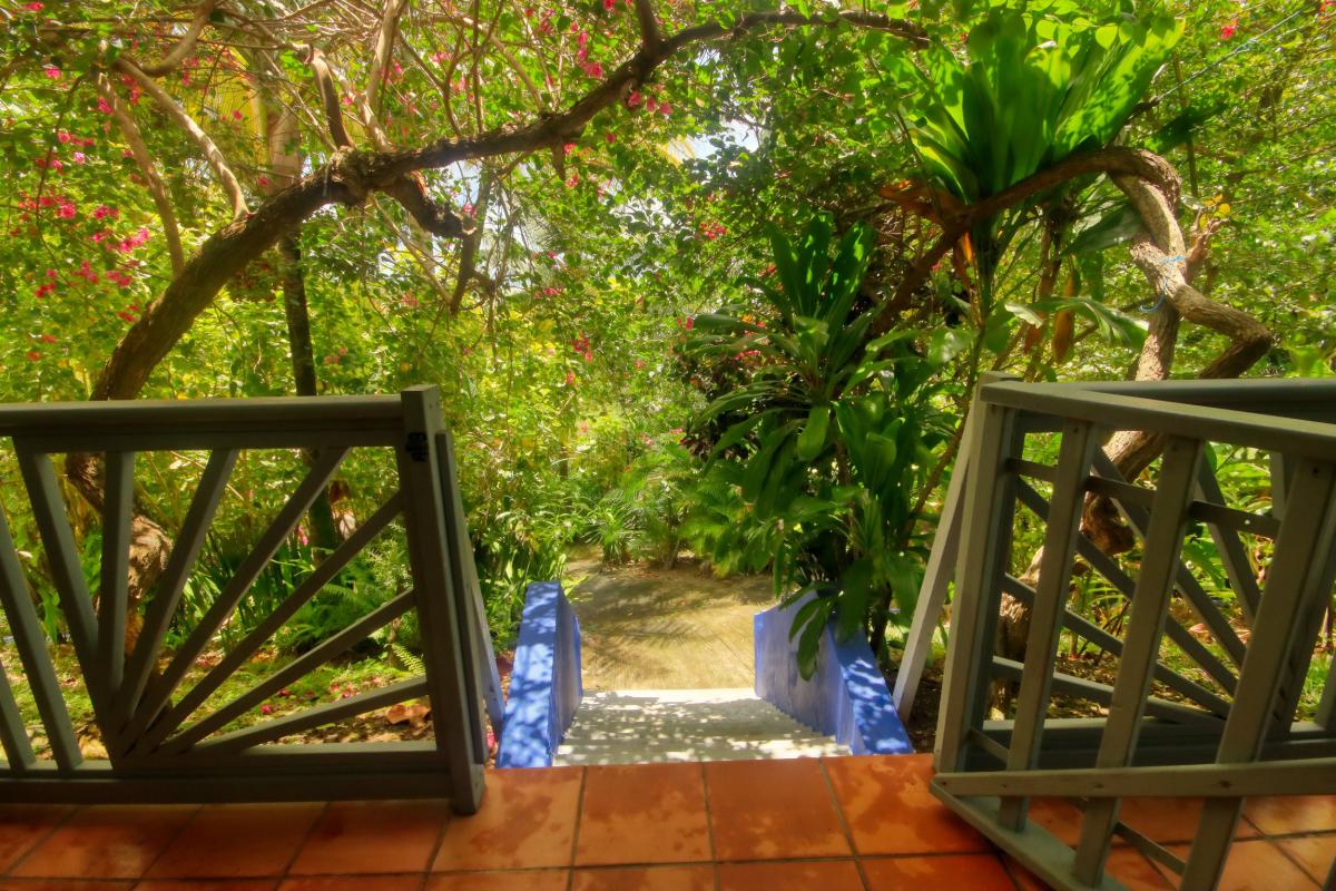 Villa piscine privée Trois Ilets Martinique - Descente vers le jardin
